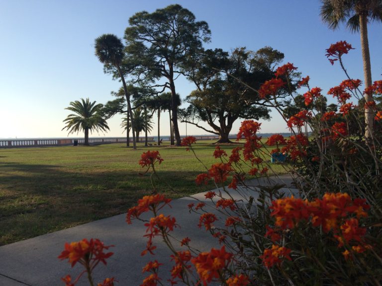 The Pitfalls of Lifetime Gifting Homestead Property in Sarasota, Florida